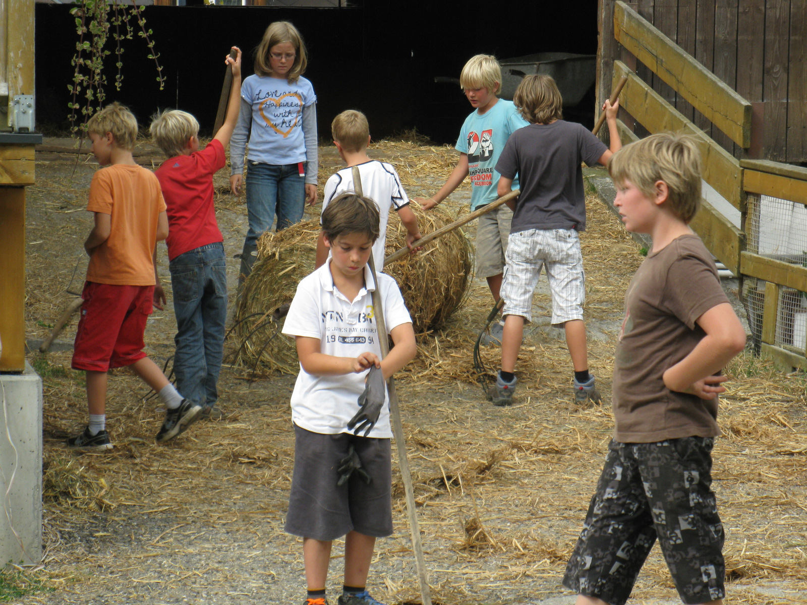 Auf dem Hof der Familie Matlschweiger in Lassing macht Kinderarbeit Spaß