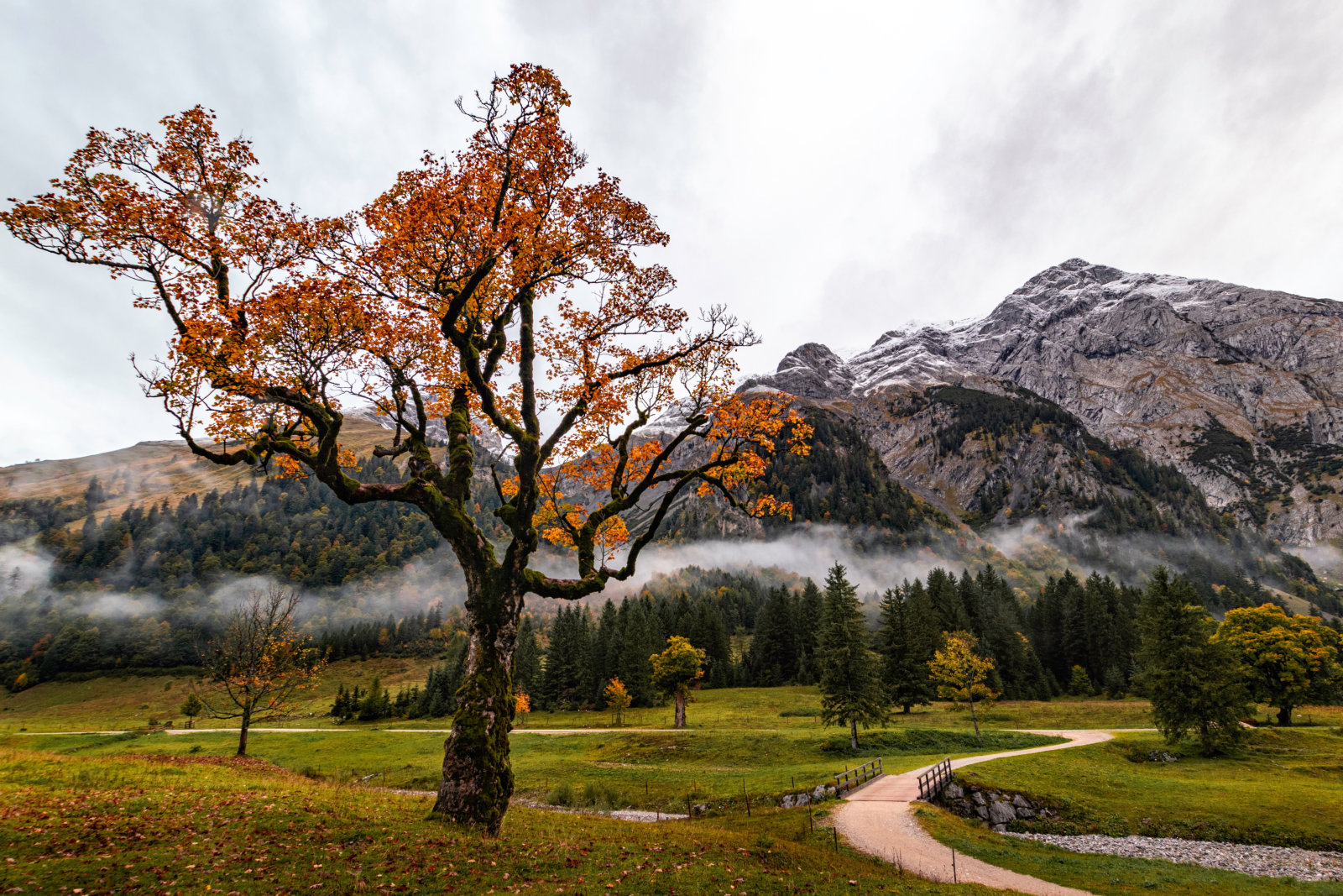 Österreichs größter Naturpark bildet gerade während des Indian Summers eine ideale Kulisse für ausgedehnte Wanderungen