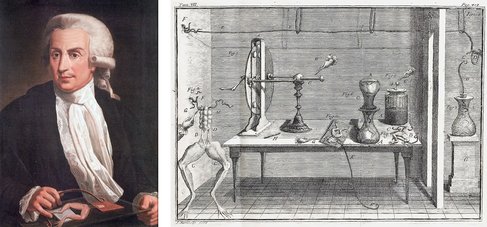 links: Luigi Galvani, rechts: Froschschenkelexperiment