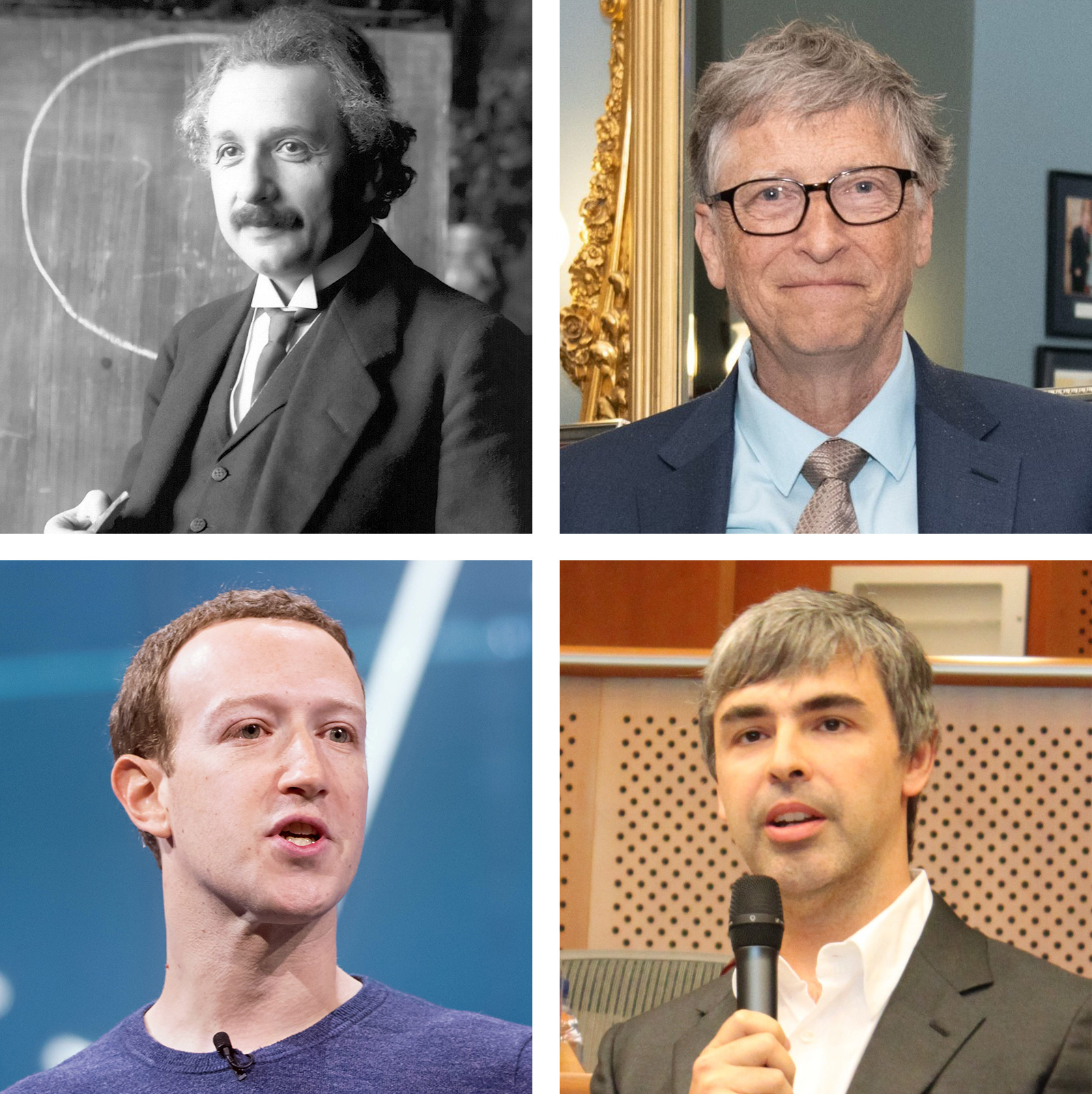 Erfogreich und introvertiert: Abert Einstein, Bill Gates, Mark Zuckerberg, Larry Page 