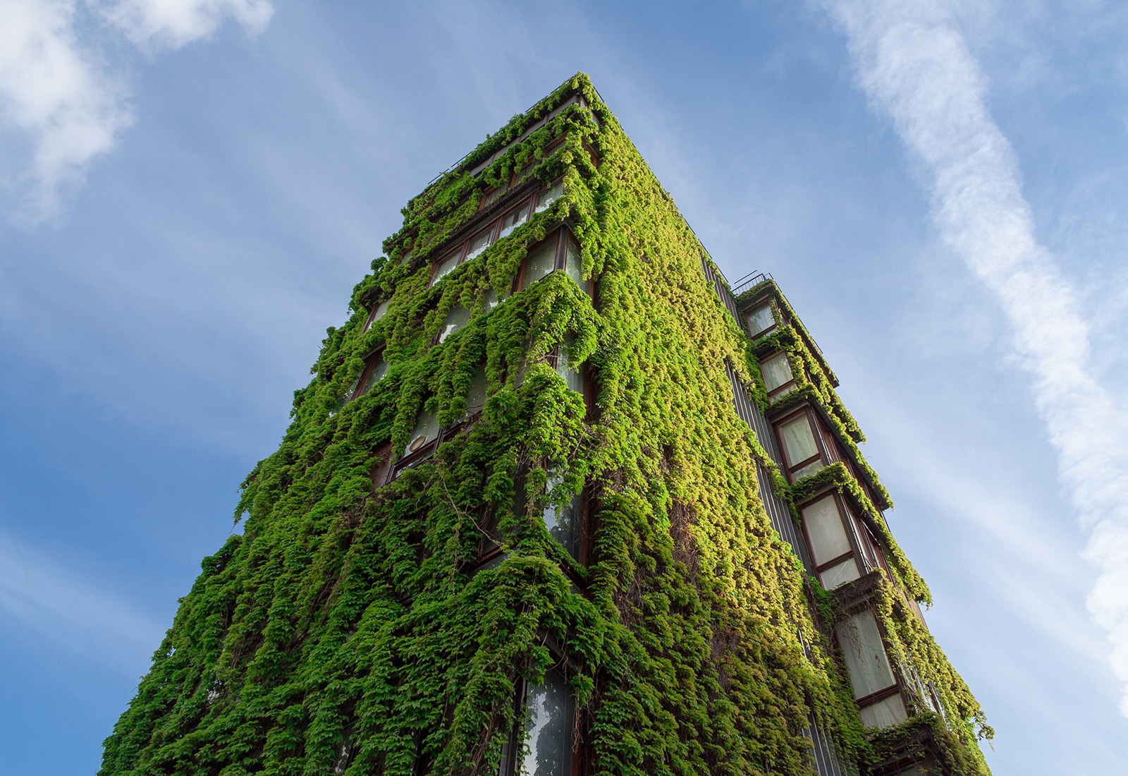 Bosco Verticale in Mailand: Fassadenbegrünung als Luxus